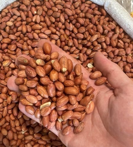 21c76b1c ea62 4ca3 a0e8 aecb380ae7fc